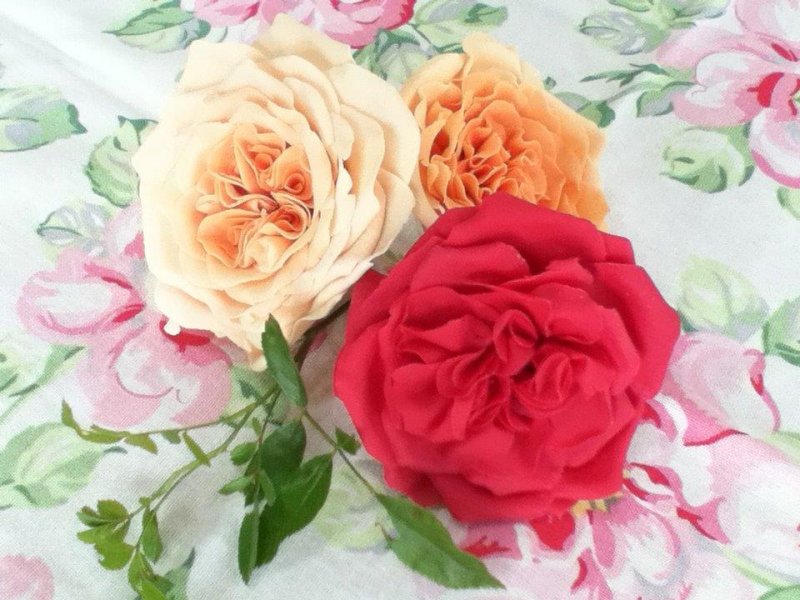 Old Rose