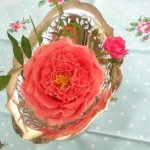 Old Rose